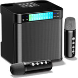 Sistem Audio Bluetooth Karaoke 2 Microfoane Wireless