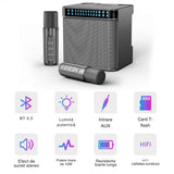 Sistem Audio Bluetooth Karaoke 2 Microfoane Wireless