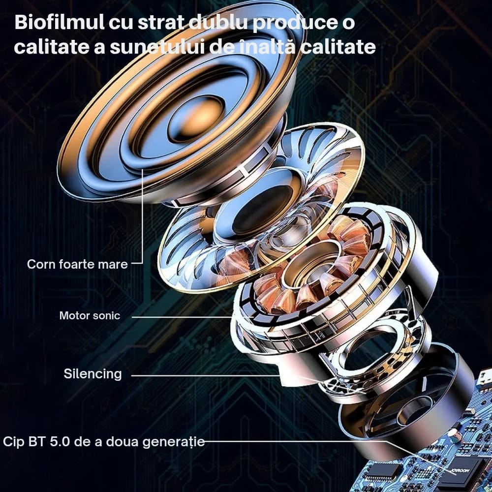 Sistem Audio Bluetooth Karaoke 2 Microfoane Wireless